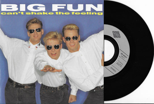 BIG FUN - Can't Shake The Feeling