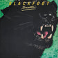 BLACKFOOT - Tomcattin'