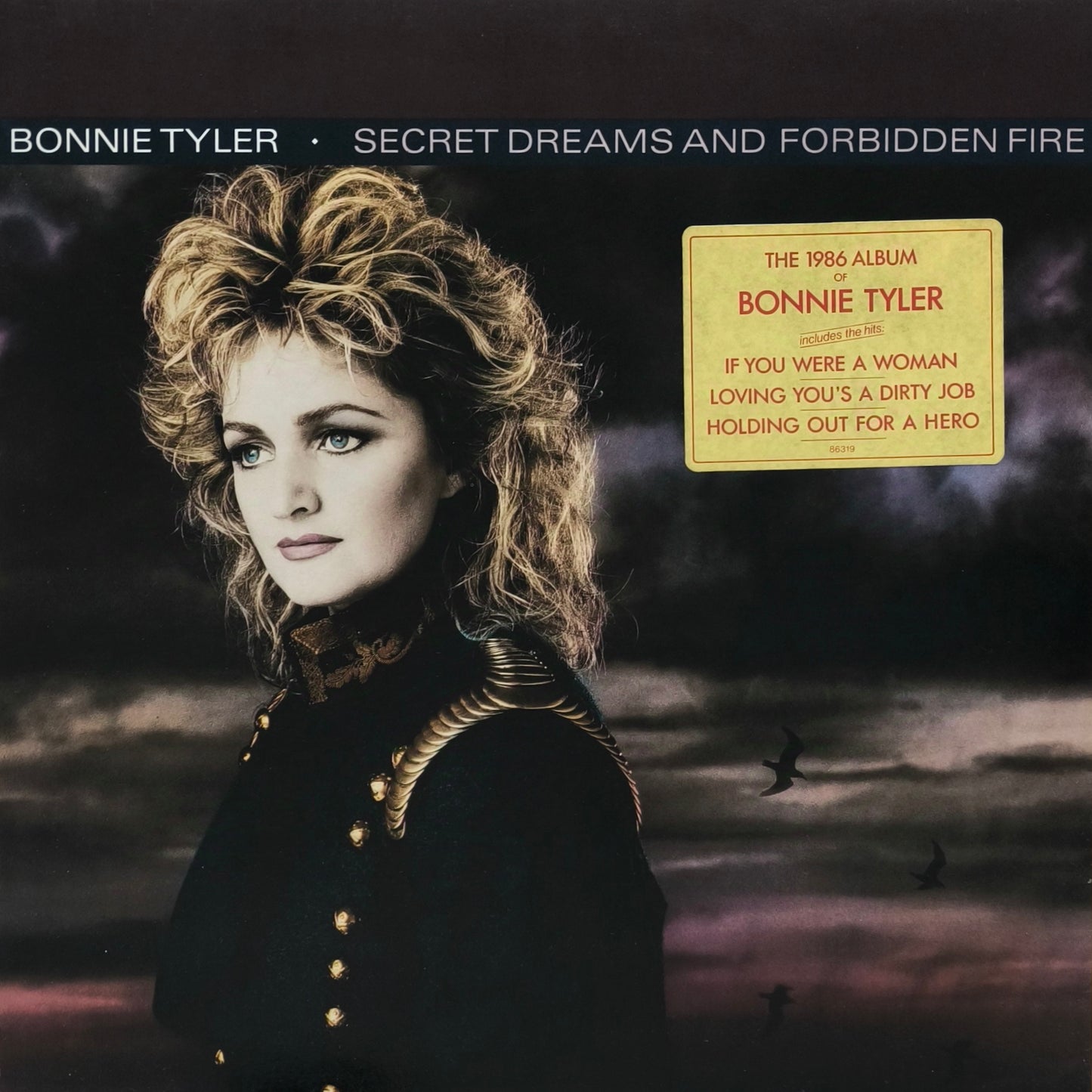 BONNIE TYLER - Secret Dreams And Forbidden Fire