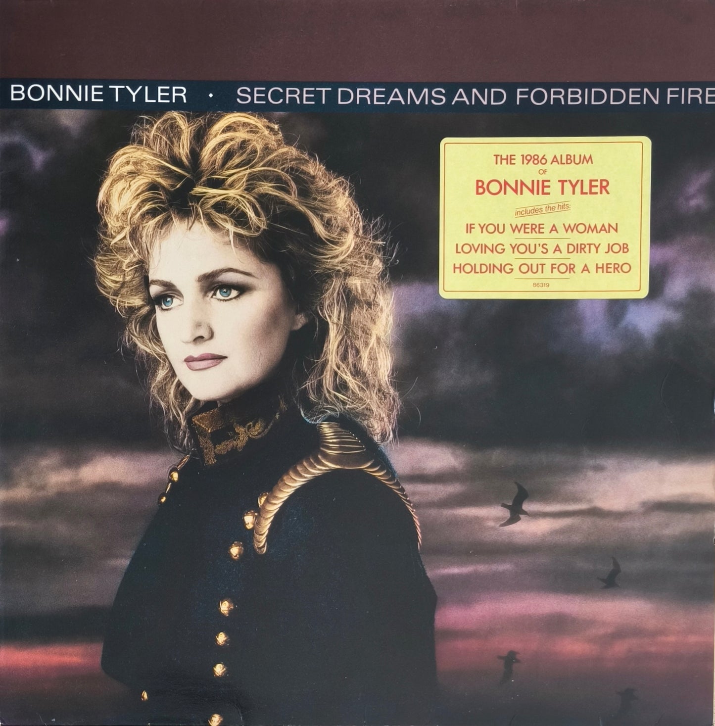 BONNIE TYLER - Secret Dreams And Forbidden Fire