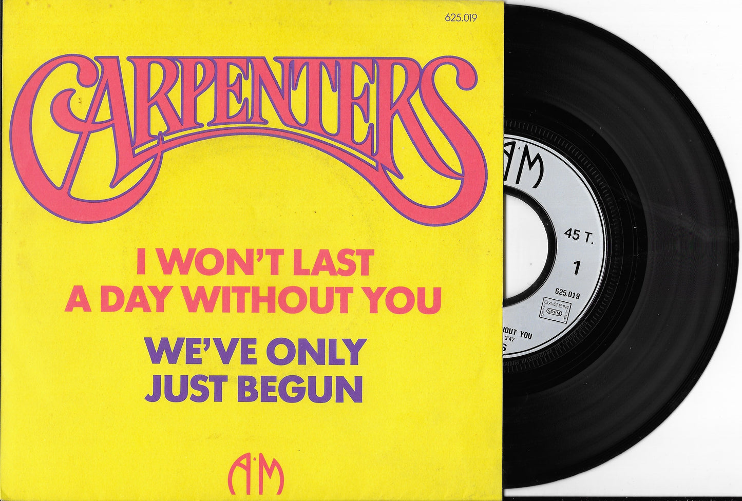 CARPENTERS - I Won't Last A Day Without You