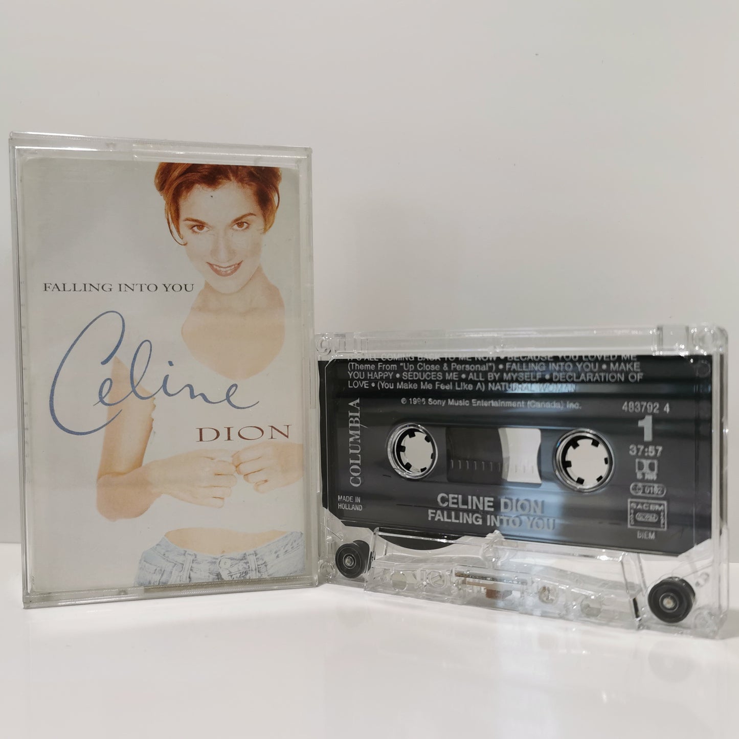 CELINE DION - Falling into you