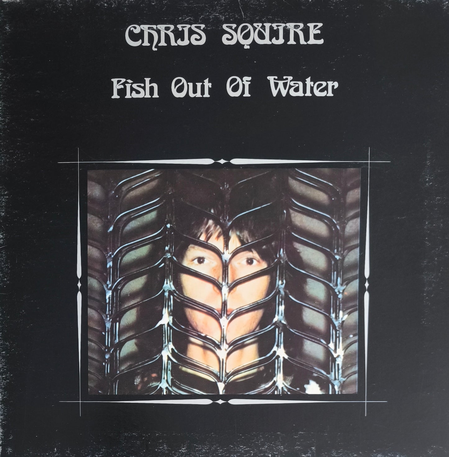 CHRIS SQUIRE - Fish Out Of Water