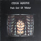 CHRIS SQUIRE - Fish Out Of Water