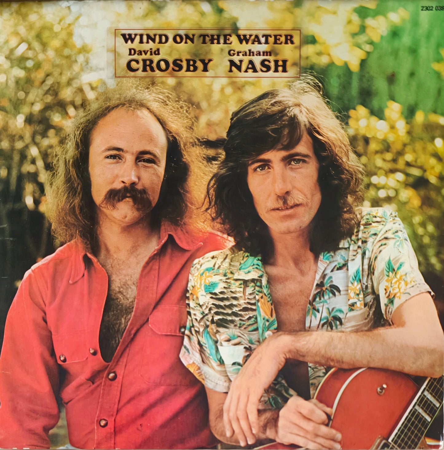 DAVID CROSBY & GRAHAM NASH - Wind On The Water