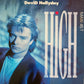 DAVID HALLYDAY - High