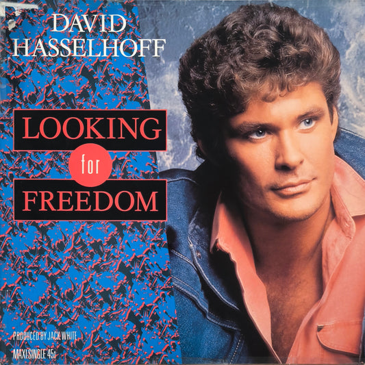 DAVID HASSELHOFF - Looking For Freedom