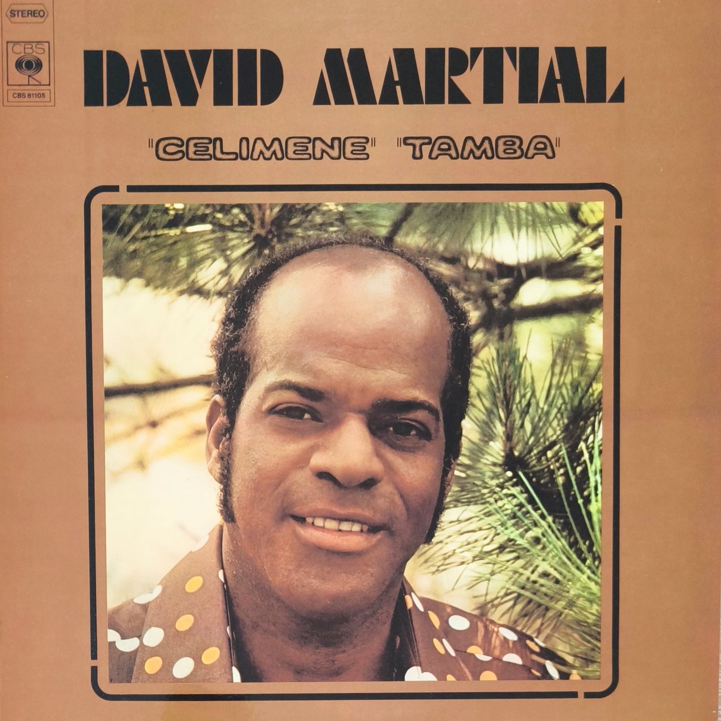 DAVID MARTIAL - Tamba Celimene