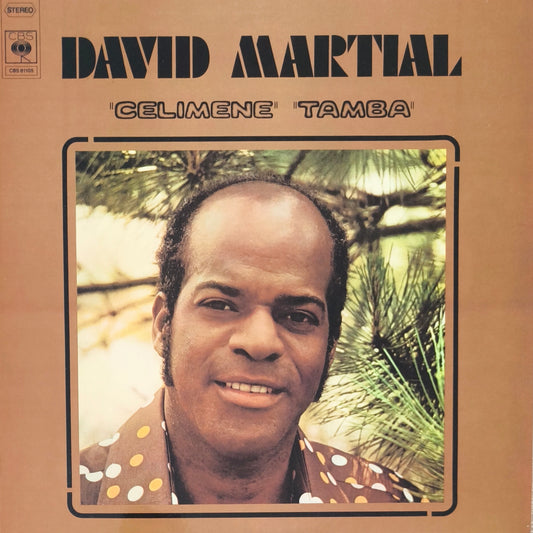 DAVID MARTIAL - Tamba Celimene