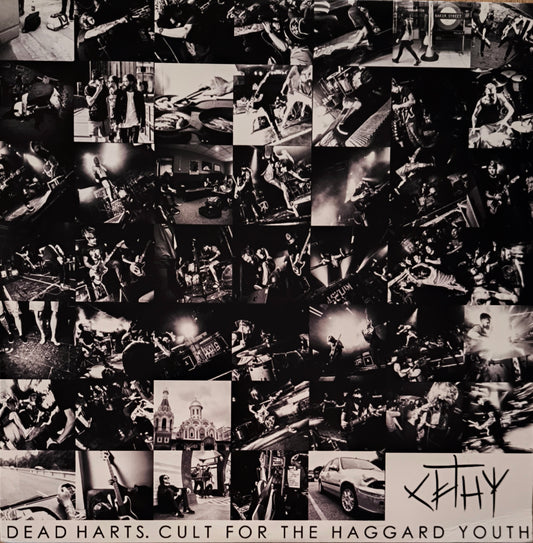 DEAD HARTS - Cult For The Haggard Youth (disque splatter)