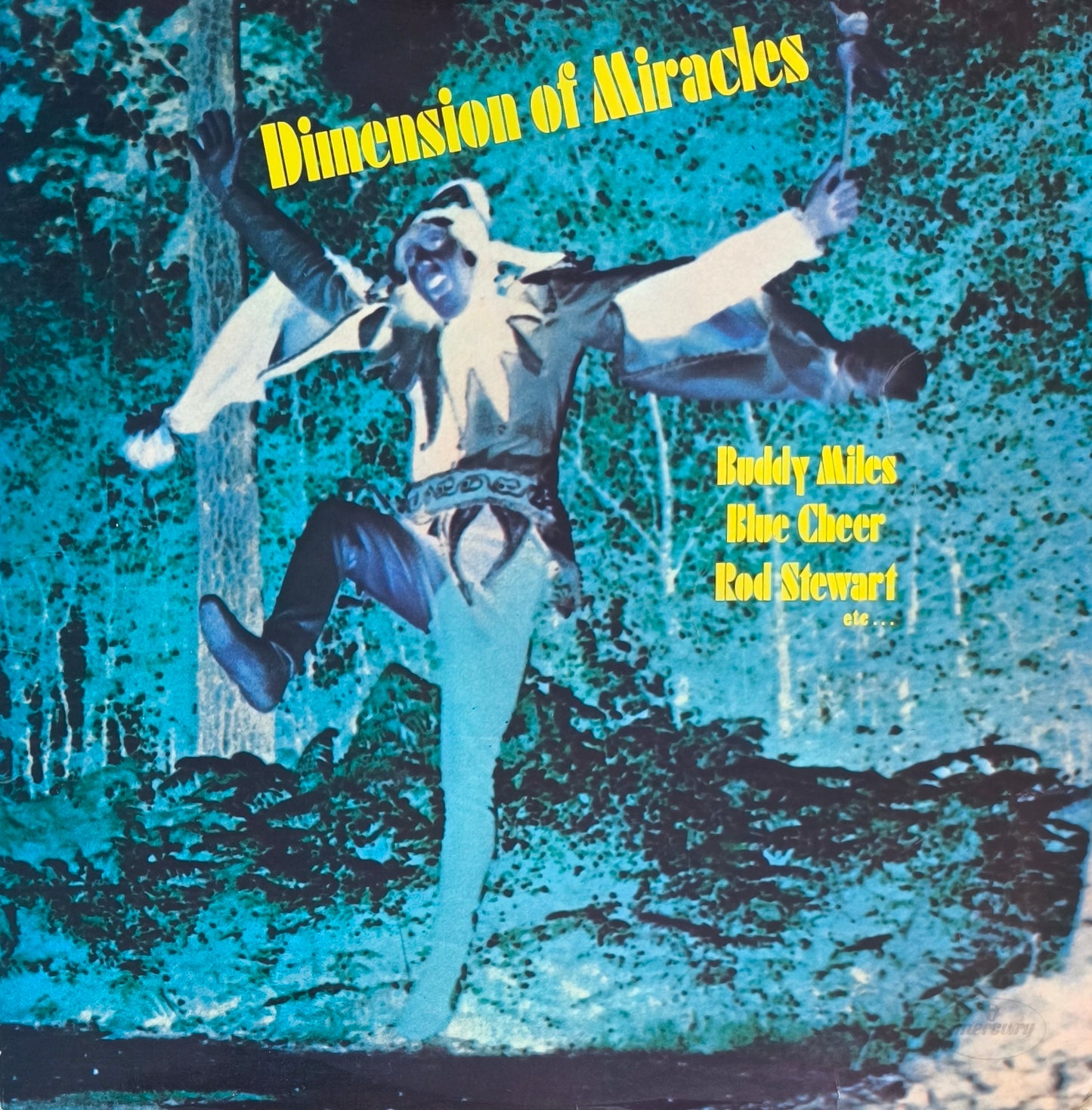 DIMENSION OF MIRACLES