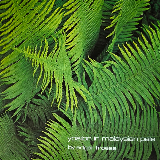 EDGAR FROESE - Ypsilon In Malaysian Pale