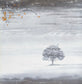GENESIS - Wind & Wuthering