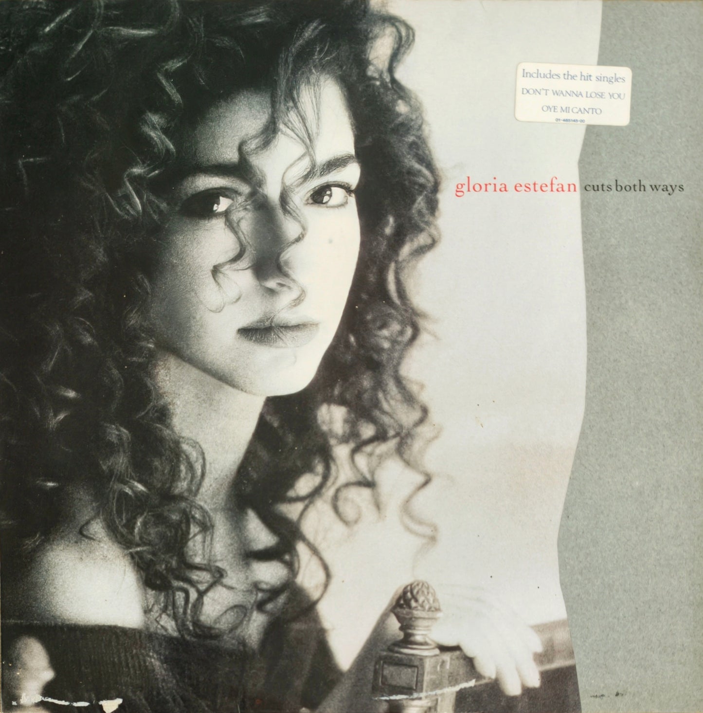 GLORIA ESTEFAN - Cuts Both Ways