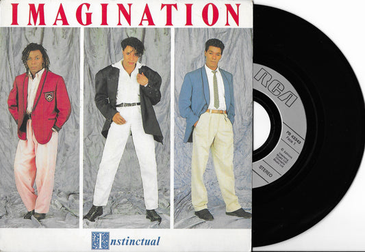 IMAGINATION - Instinctual