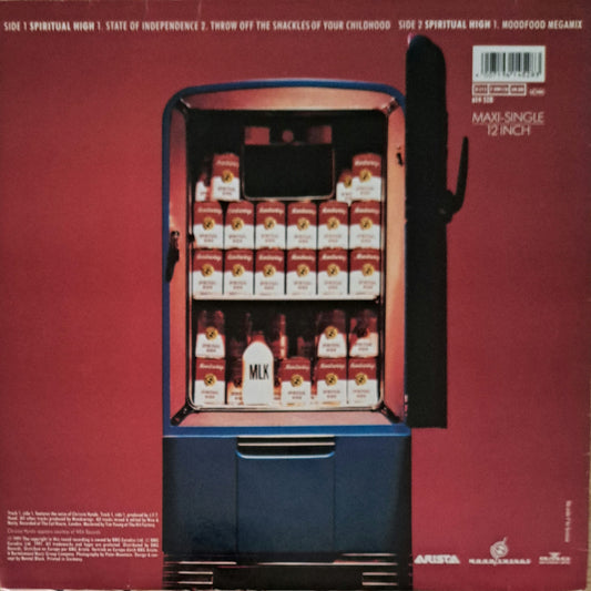 MOODSWINGS Featuring CHRISSIE HYNDE - Spiritual High