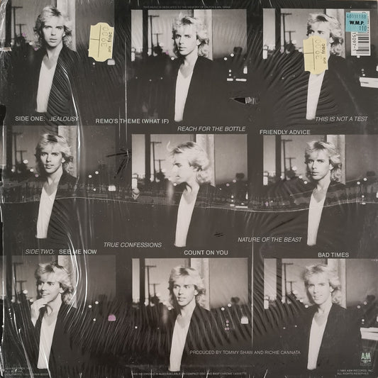 TOMMY SHAW - What If