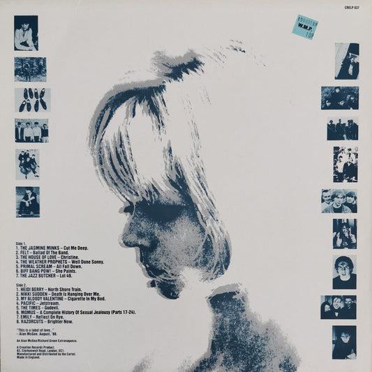 VARIOUS - Doing It For The Kids