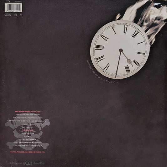 TERENCE TRENT D'ARBY - Terence Trent D'Arby's Neither Fish Nor Flesh: A Soundtrack Of Love, Faith, Hope And Destruction