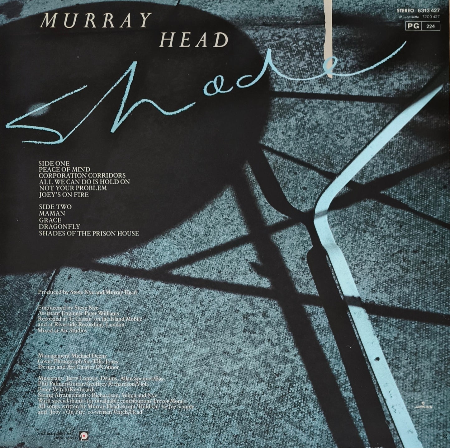 MURRAY HEAD - Shade