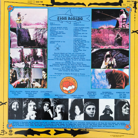 STEVE HILLAGE - Fish Rising