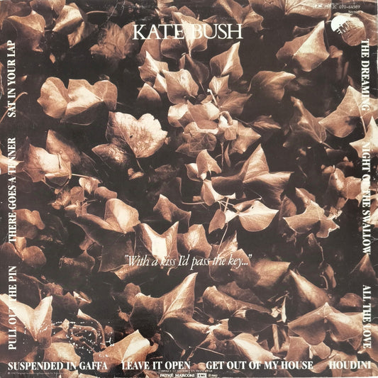 KATE BUSH - The Dreaming