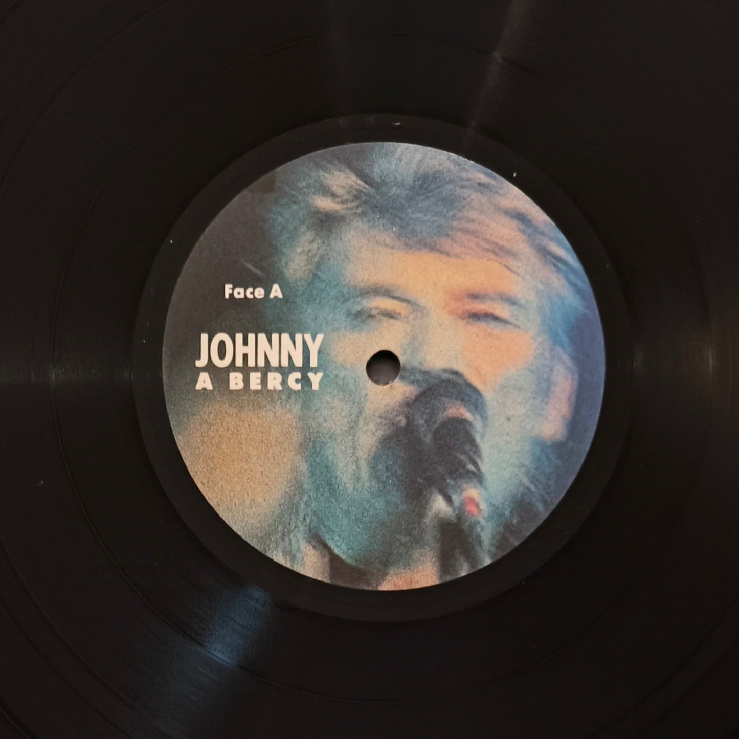 JOHNNY HALLYDAY - Johnny À Bercy