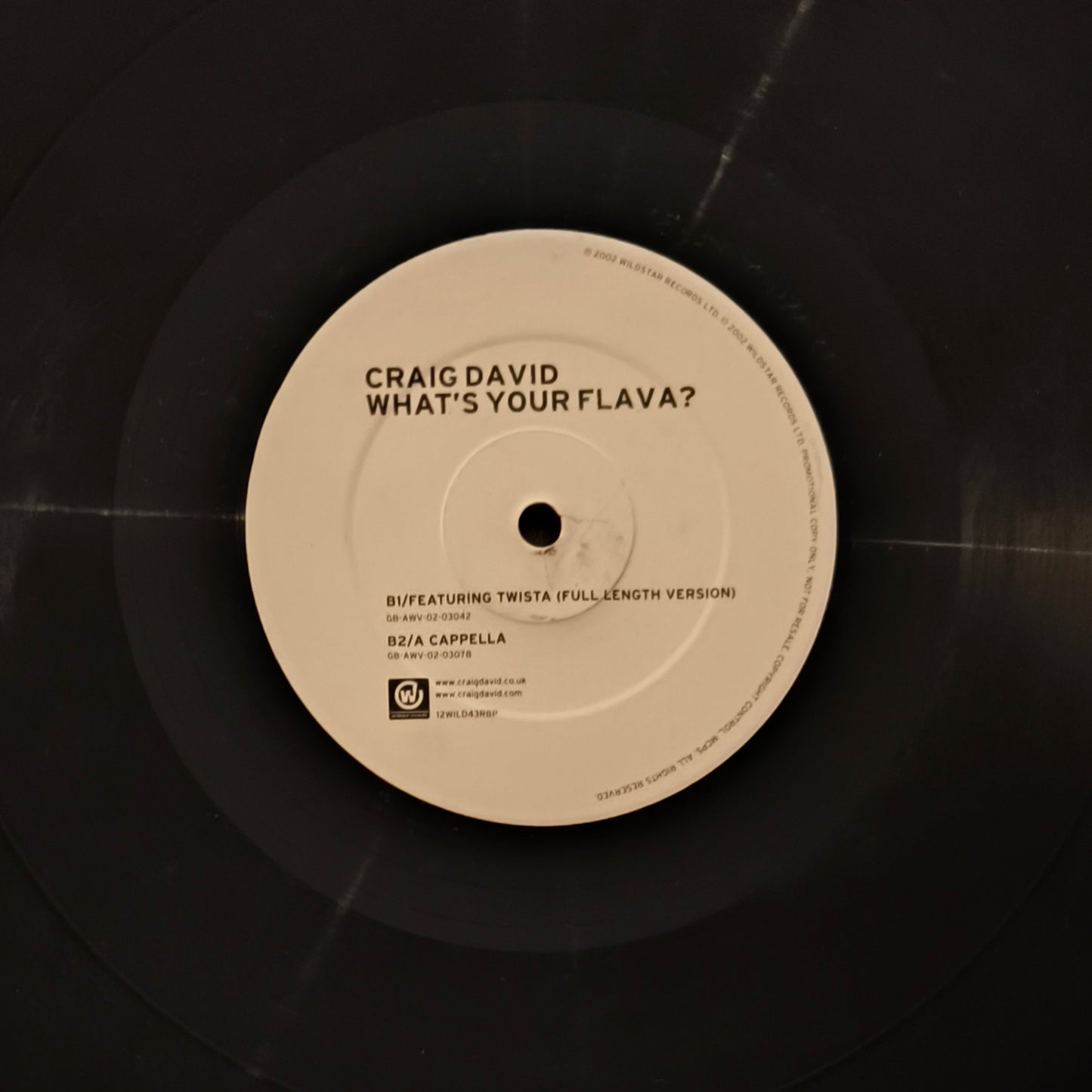 CRAIG DAVID - What's Your Flava? (promo)