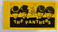 THE PANTHERS - The Panthers 1964-66