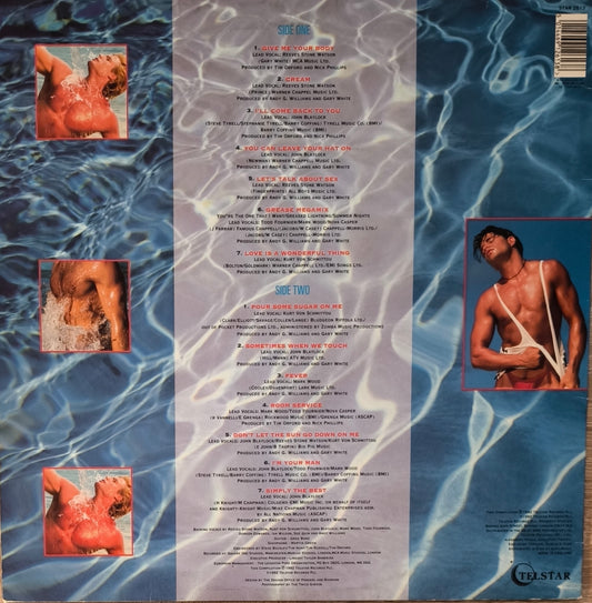 CHIPPENDALES - The Album