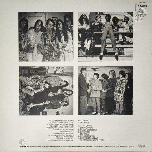 THE FLAMIN GROOVIES - Sneakers