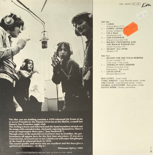 FLAMIN' GROOVIES - Flamin Groovies '70