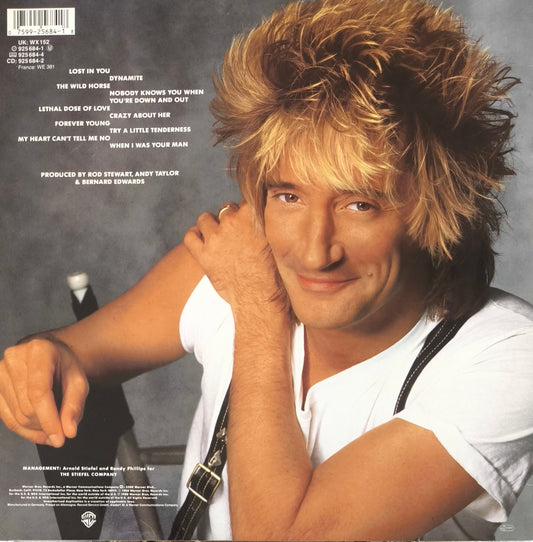 ROD STEWART - Out Of Order