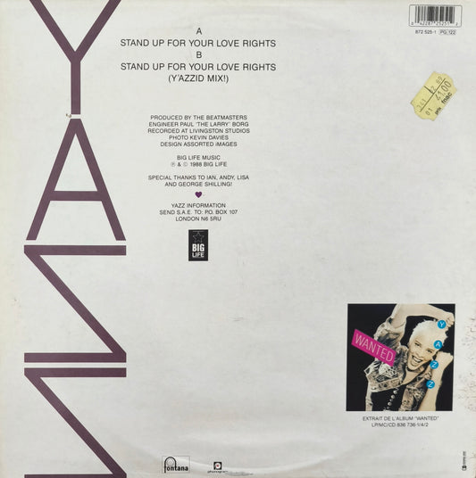 YAZZ - Stand Up For Your Love Rights