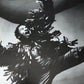 JIMMY CLIFF - Cliff Hanger