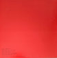 SUEDE - Bloodsports (pressage 2013)