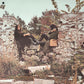 SEGUIN - Séguin