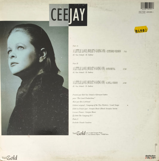 CEEJAY - A Little Love (What's Going On)