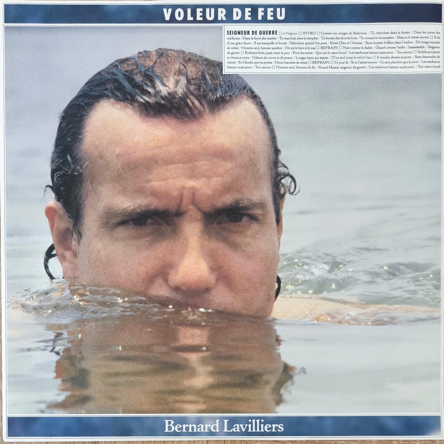 BERNARD LAVILLIERS - Voleur De Feu