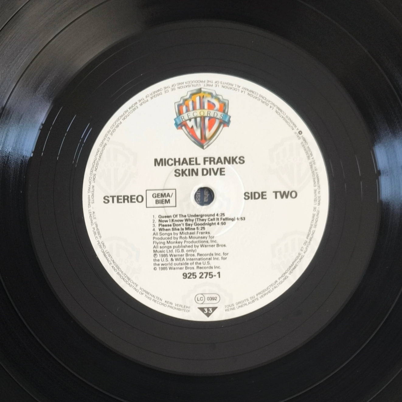 MICHAEL FRANKS - Skin Dive