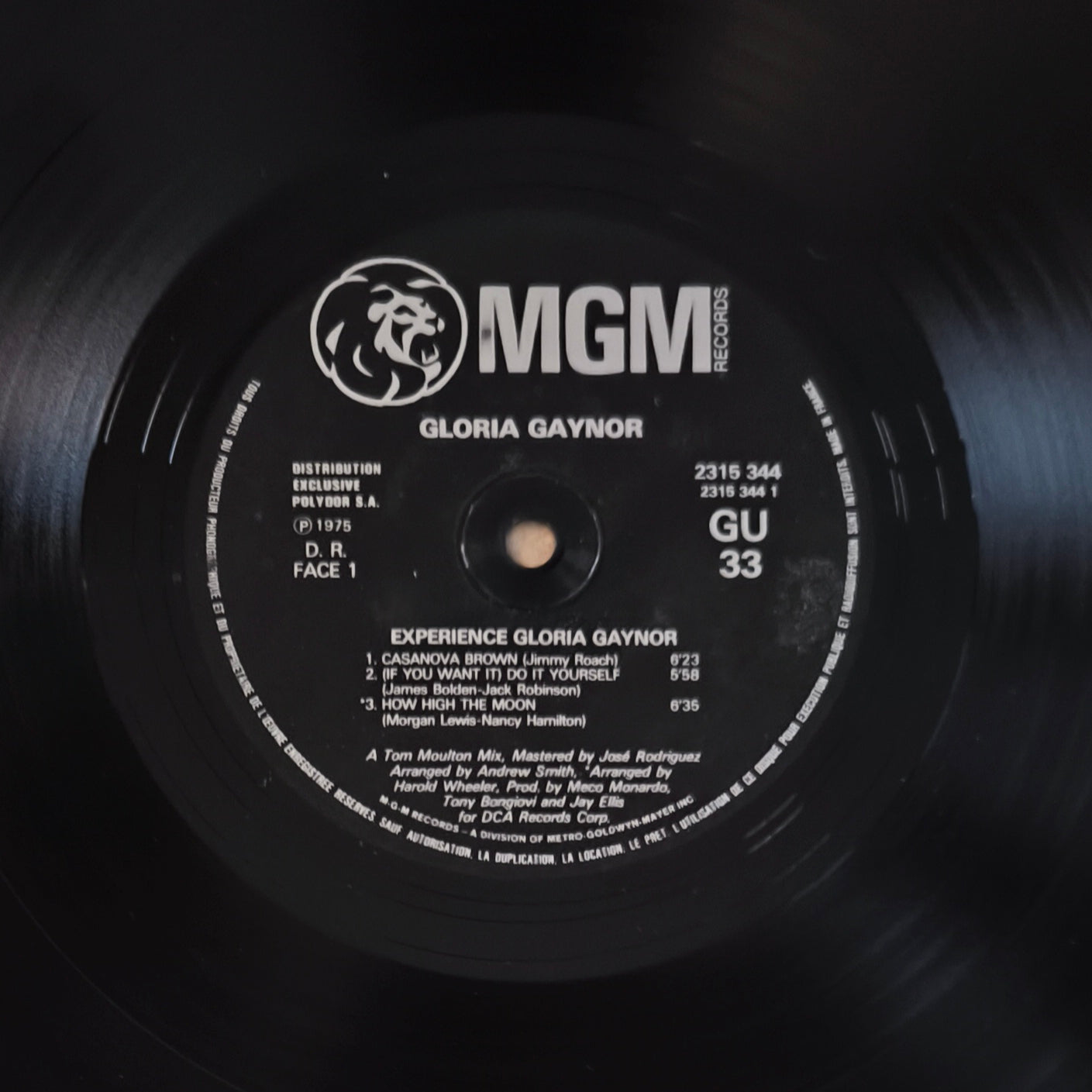 GLORIA GAYNOR - Experience