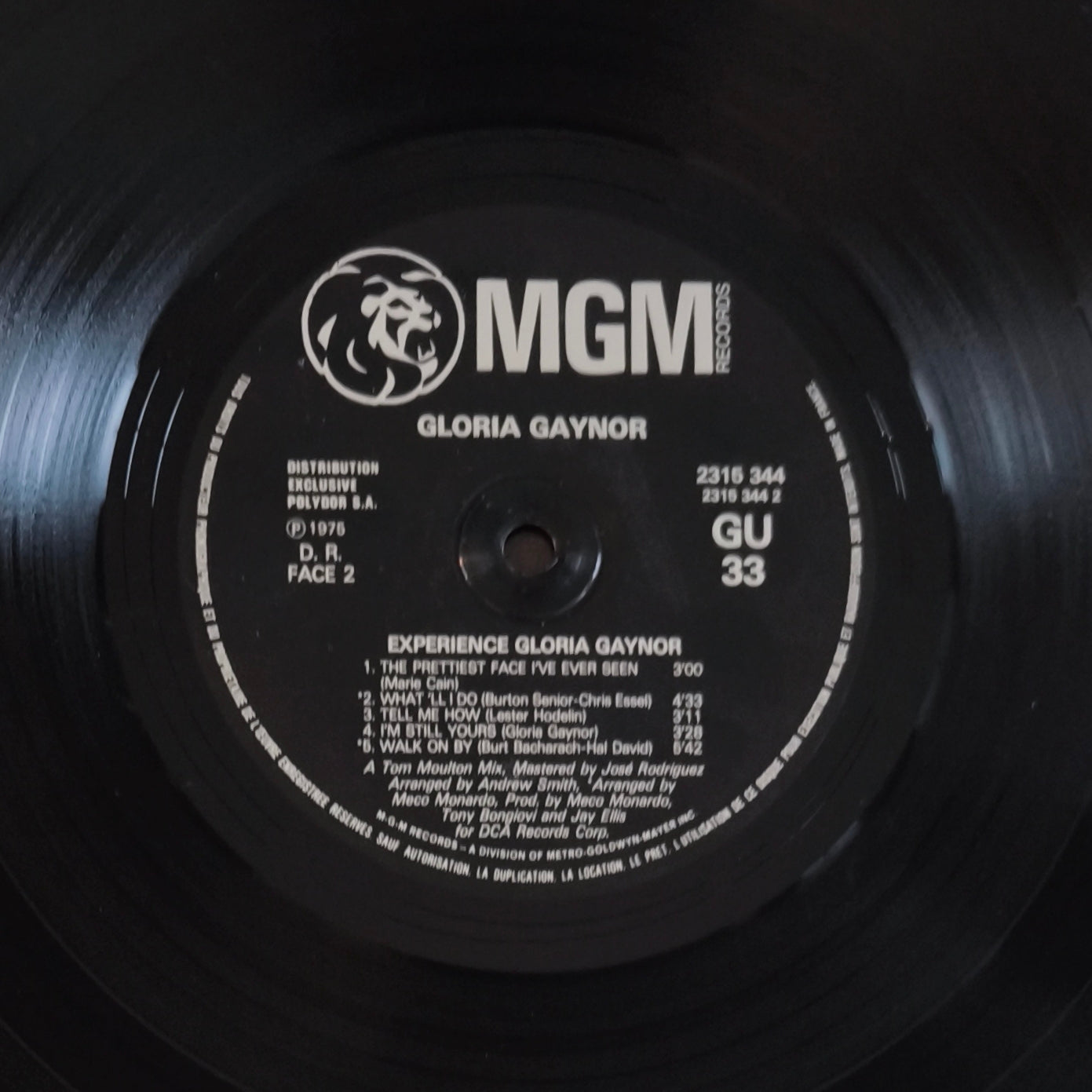 GLORIA GAYNOR - Experience