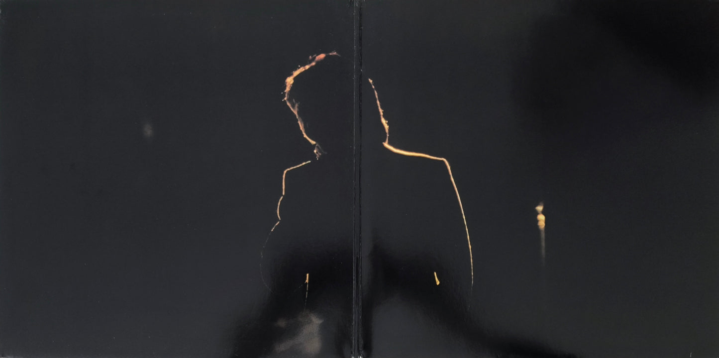 DANIEL GUICHARD - Enregistrement Public