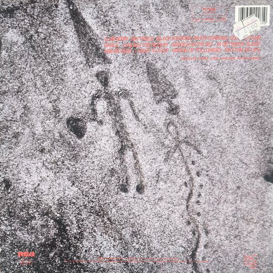 MARTHA AND THE MUFFINS - Mystery Walk