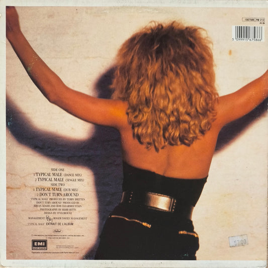 TINA TURNER - Typical Male