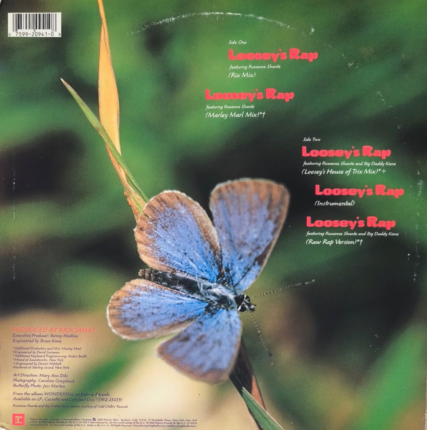 RICK JAMES - Loosey's Rap