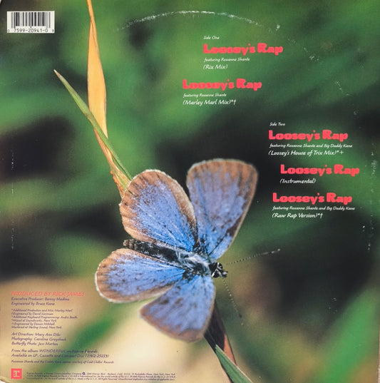 RICK JAMES - Loosey's Rap