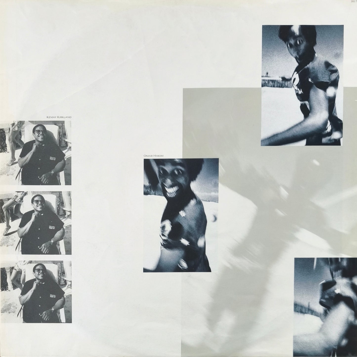 STING - The Dream Of The Blue Turtles