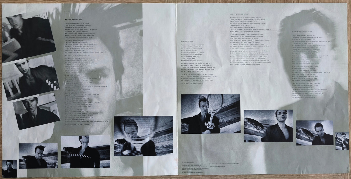 STING - The Dream Of The Blue Turtles