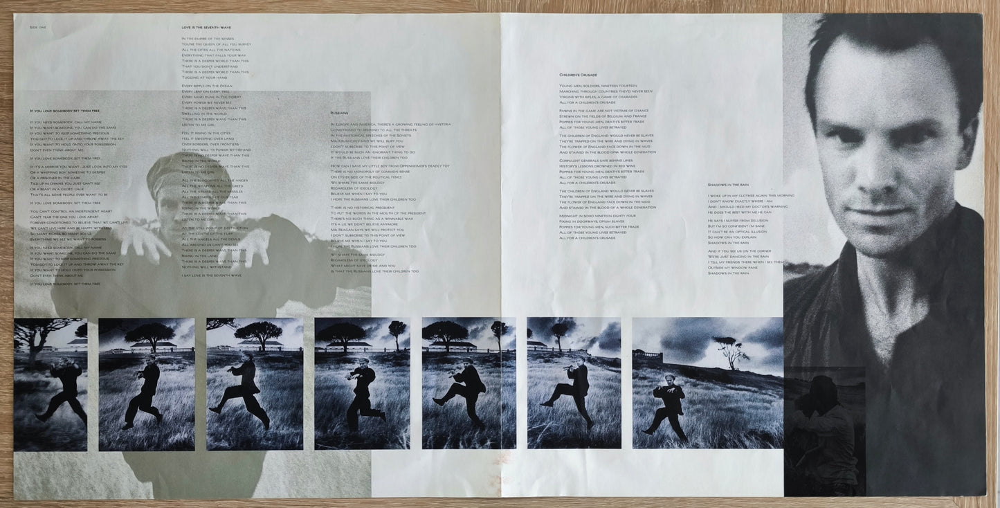 STING - The Dream Of The Blue Turtles